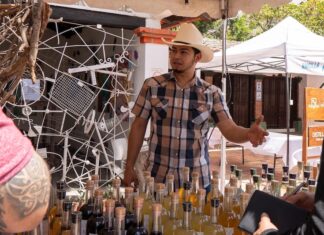 Raicilla protagoniza el noveno Festival ‘Dama Juana’ del 13 al 15 de marzo festival de la dama juana raicilla