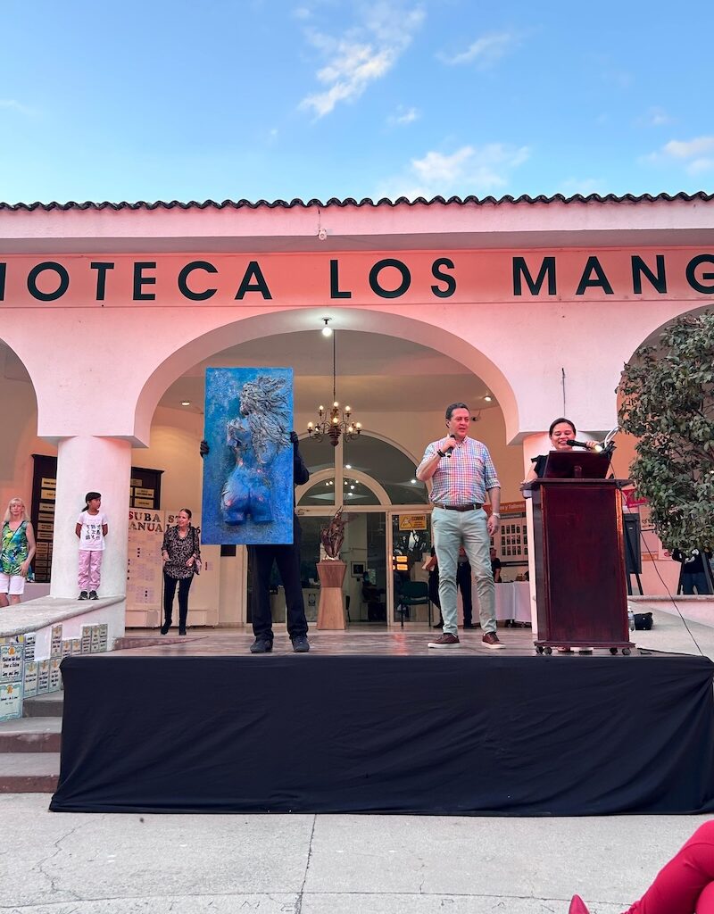 subasta de la biblioteca de los mangos