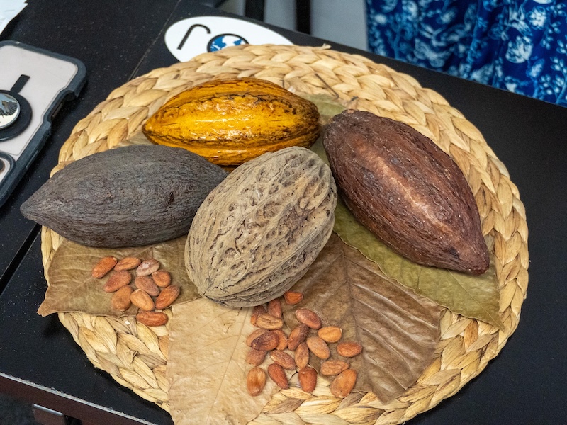 festival del chocolate 2026