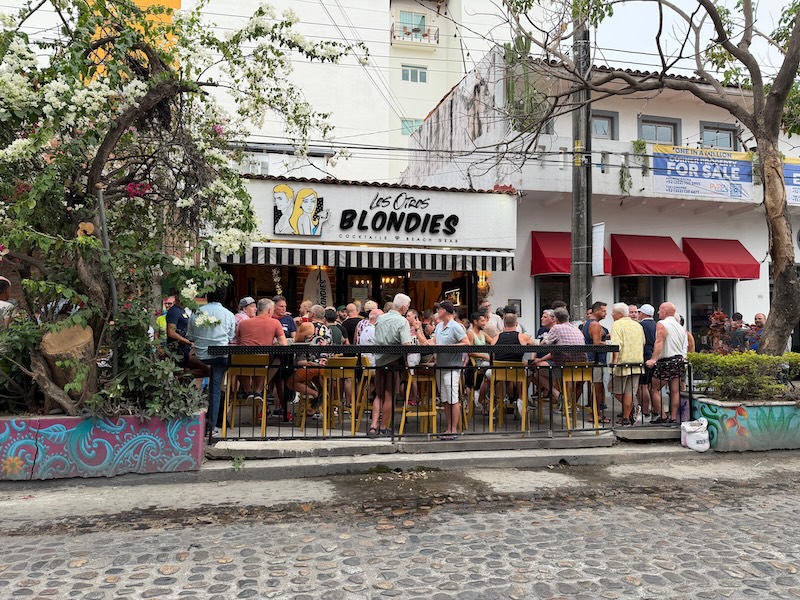 gay mixer blondies 2026