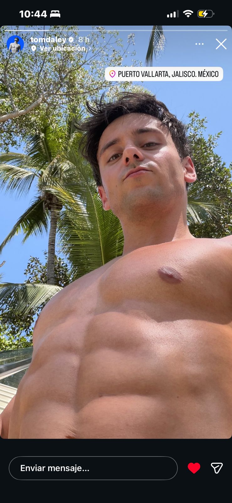 tom daley vallarta