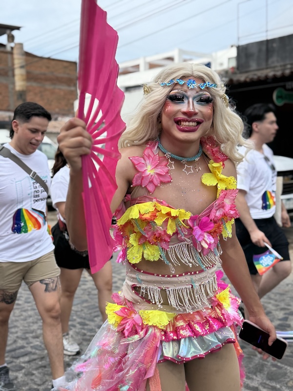 Desfile del Vallarta Pride 3 16