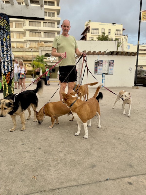 desfile de mascotas del orgullo 287