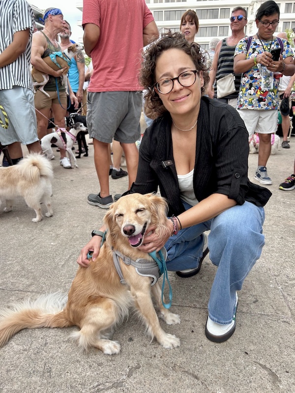 desfile de mascotas del orgullo 30