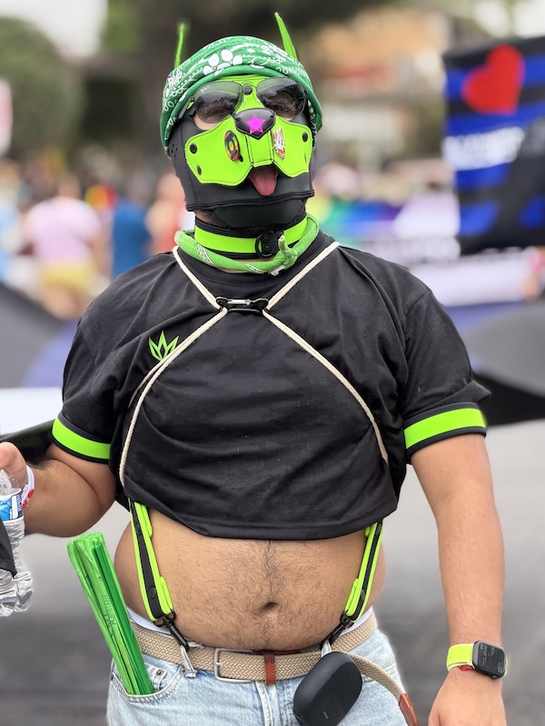 desfile vallarta pride 2026 4 3