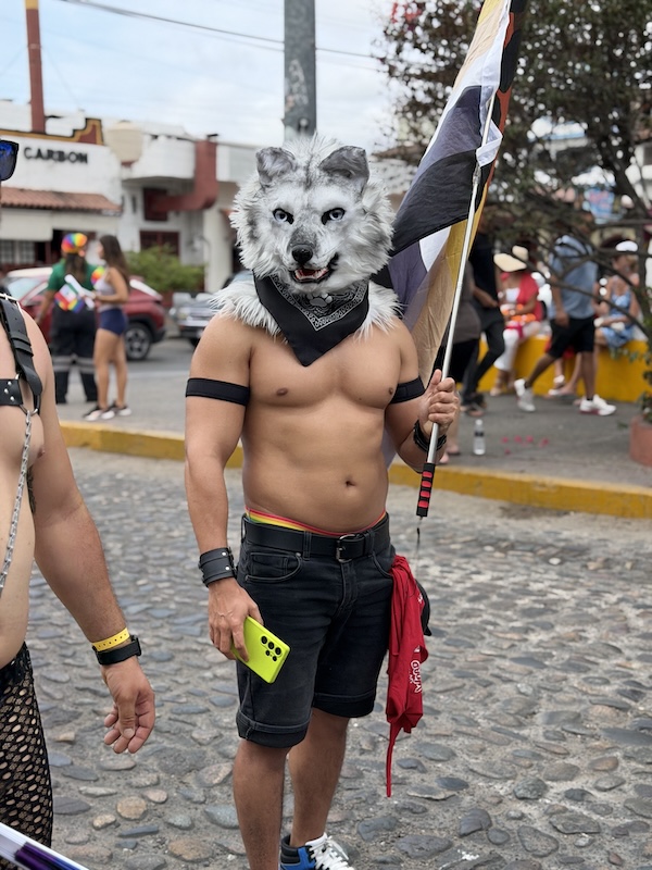 desfile vallarta pride 2026 4 6