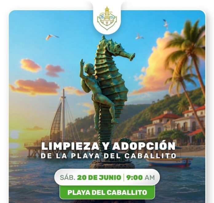 limpieza de playa