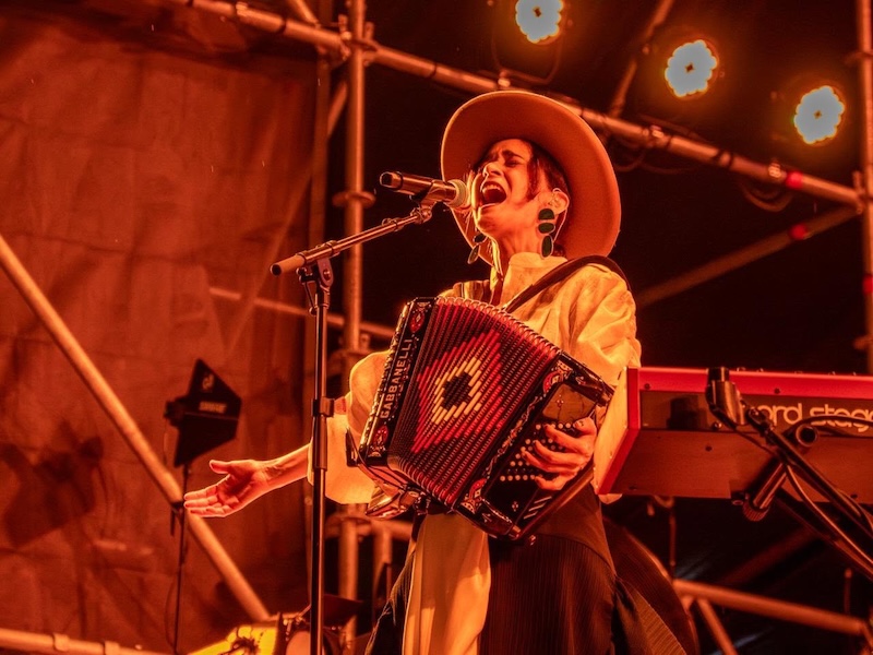 Julieta Venegas