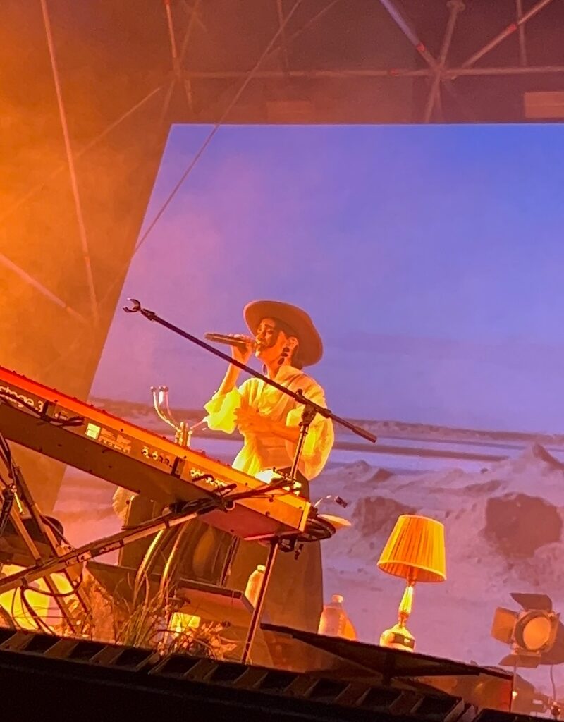 Julieta Venegas