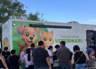 Puerto Vallarta supera las 1.000 esterilizaciones gratuitas de mascotas campaña de esterilización