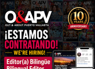 O&APV abre el proceso de selección para un nuevo editor imagen de la descripción del puesto, en baja resolución para la web