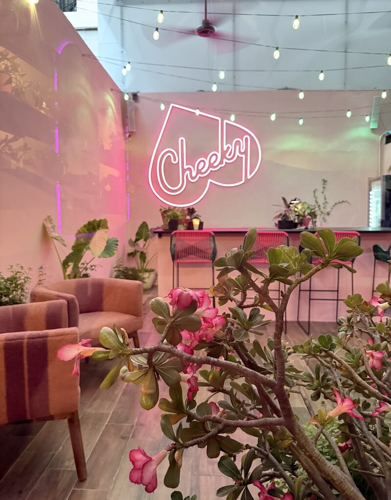 cheeky lounge