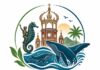 El nuevo grupo «Vallarta Limpio» pone en marcha un programa piloto para hacer frente al problema de la basura en la Zona Romántica Logotipo de Vallarta Limpio