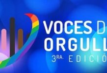 Voces del Orgullo: Líderes de Puerto Vallarta galardonados en los Premios Nacionales de la Comunidad LGBTQ+ Encabezado «Voces de orgullo»
