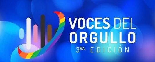 Voces del Orgullo: Líderes de Puerto Vallarta galardonados en los Premios Nacionales de la Comunidad LGBTQ+ Encabezado «Voces de orgullo»