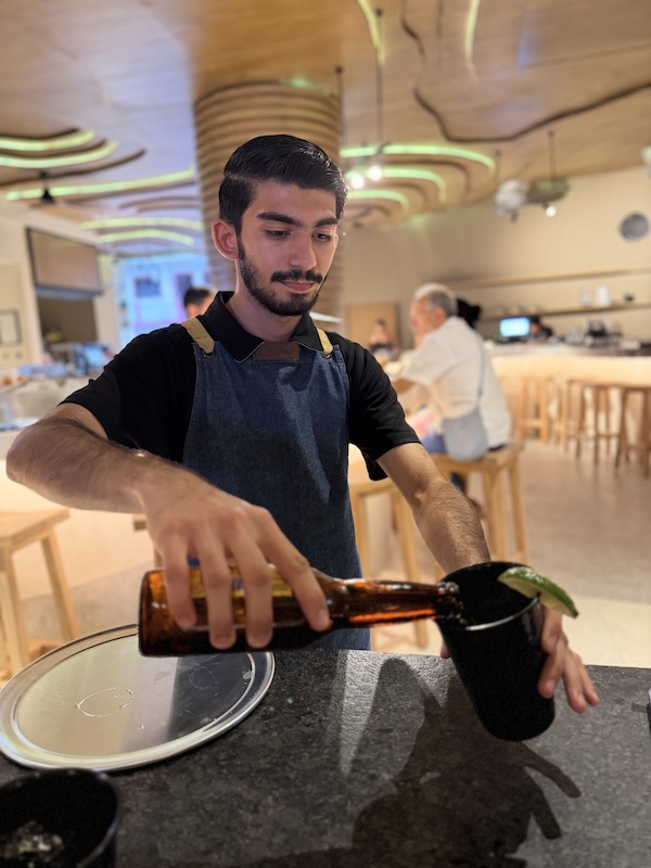 Avida Bartender para web