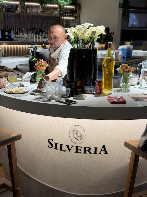 Avida Silveria para web