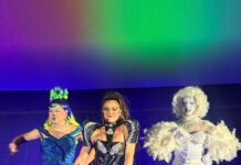 «Voices of Pride» rinde homenaje a líderes LGBTQ+ durante el Latin Fest en Puerto Vallarta Voces de orgullo 8